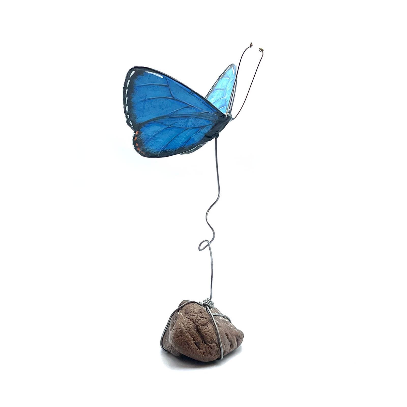 Butterfly_Papier_Mâché_B1