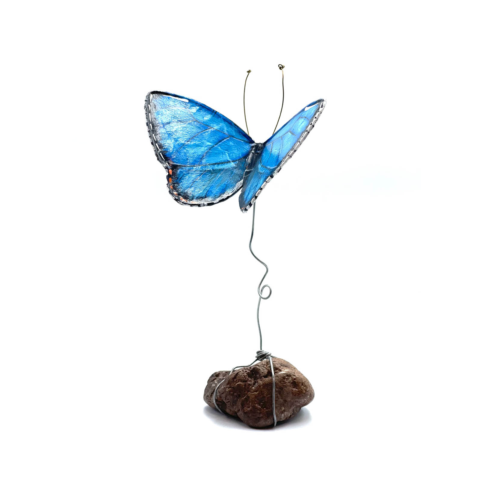 Butterfly_Papier_Mâché_B2